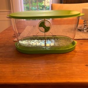 Vegetable crisper